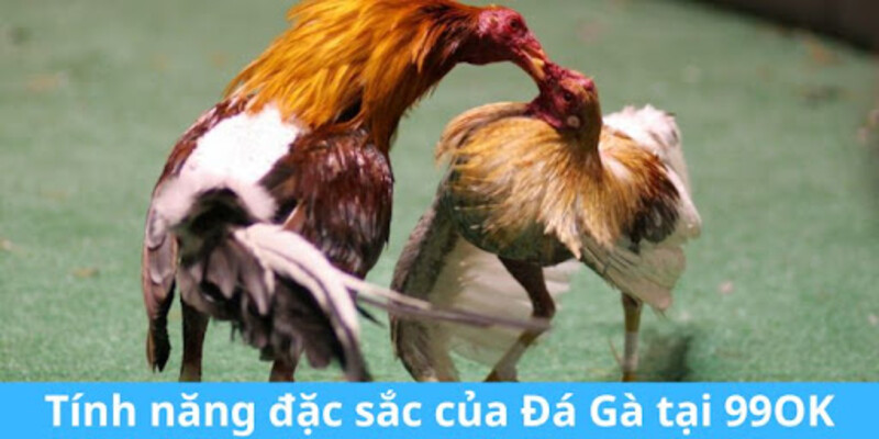 Đá Gà 99OK - Thông Tin Sảnh Thomo Trực Tuyến Mới 2026 4 Đá gà 99OK: Cơ hội chiến thắng không giới hạn