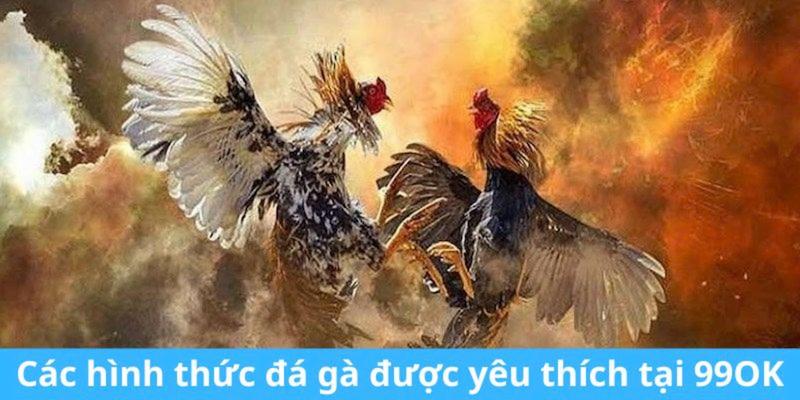 Đá Gà 99OK - Thông Tin Sảnh Thomo Trực Tuyến Mới 2026 3 Tham gia Đá gà 99OK để thắng lớn ngay hôm nay